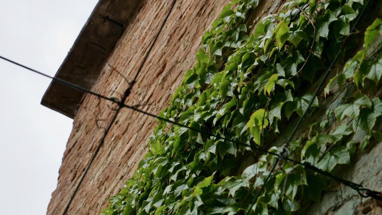 La Casa Di Giulia: Una Pausa In Collina Fubine Exterior foto